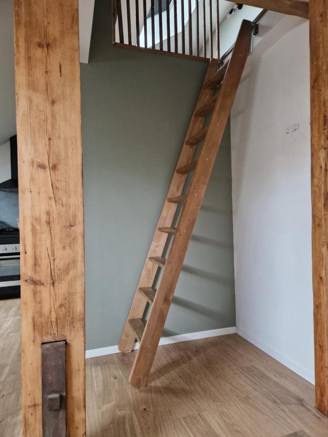 Les Appartements De Romain Et Julien Dijon Dış mekan fotoğraf