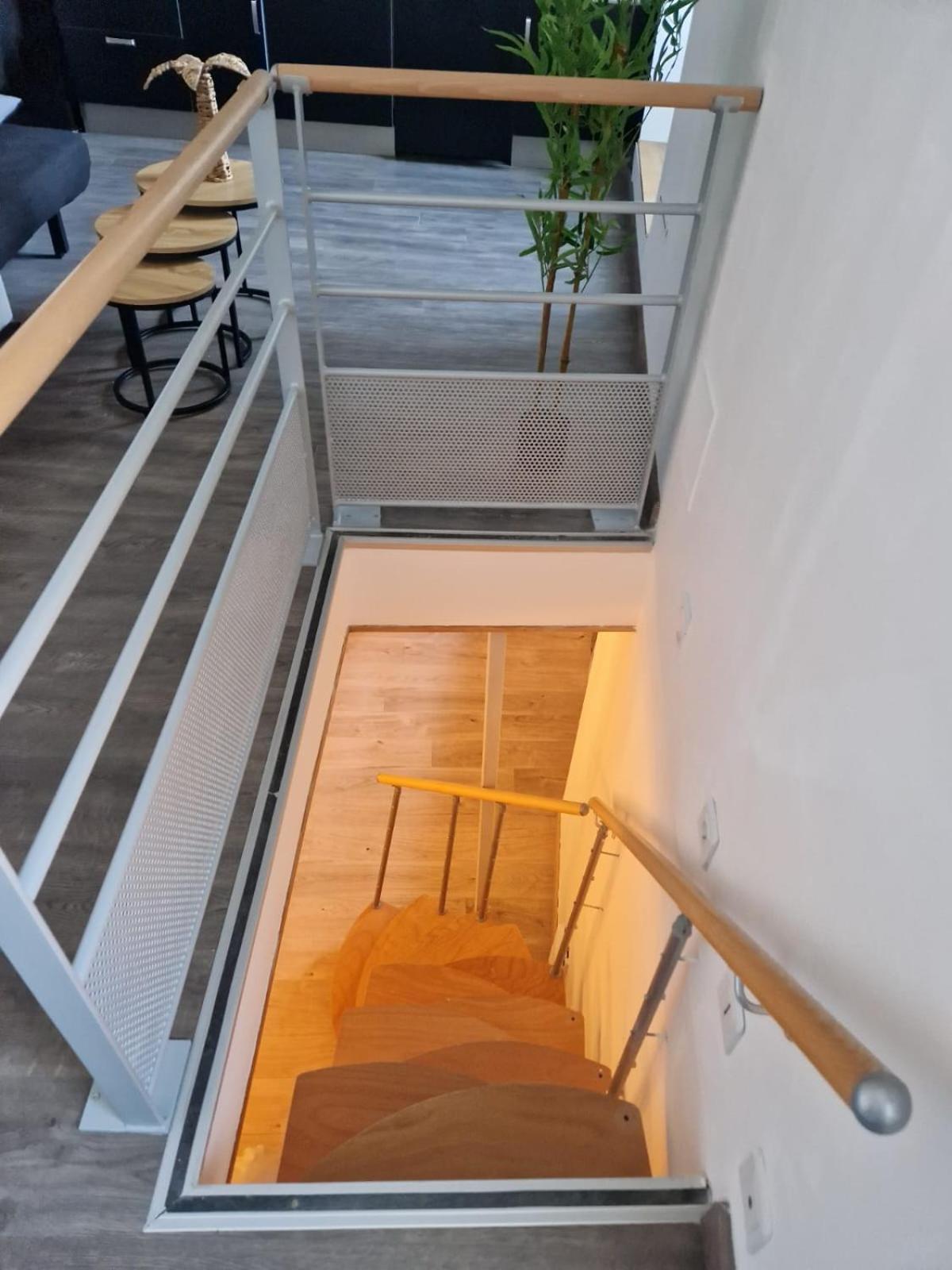 Les Appartements De Romain Et Julien Dijon Dış mekan fotoğraf