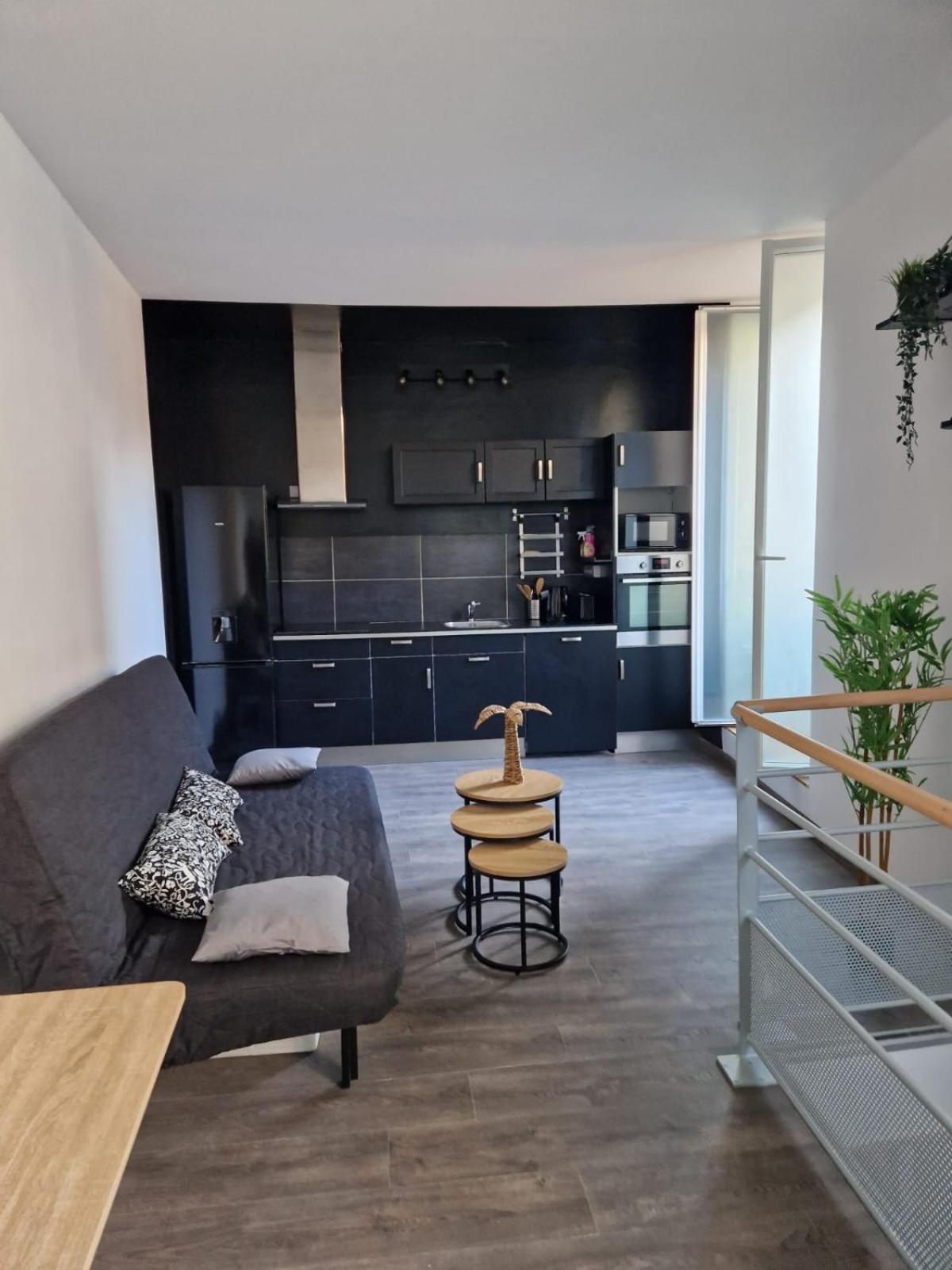 Les Appartements De Romain Et Julien Dijon Dış mekan fotoğraf
