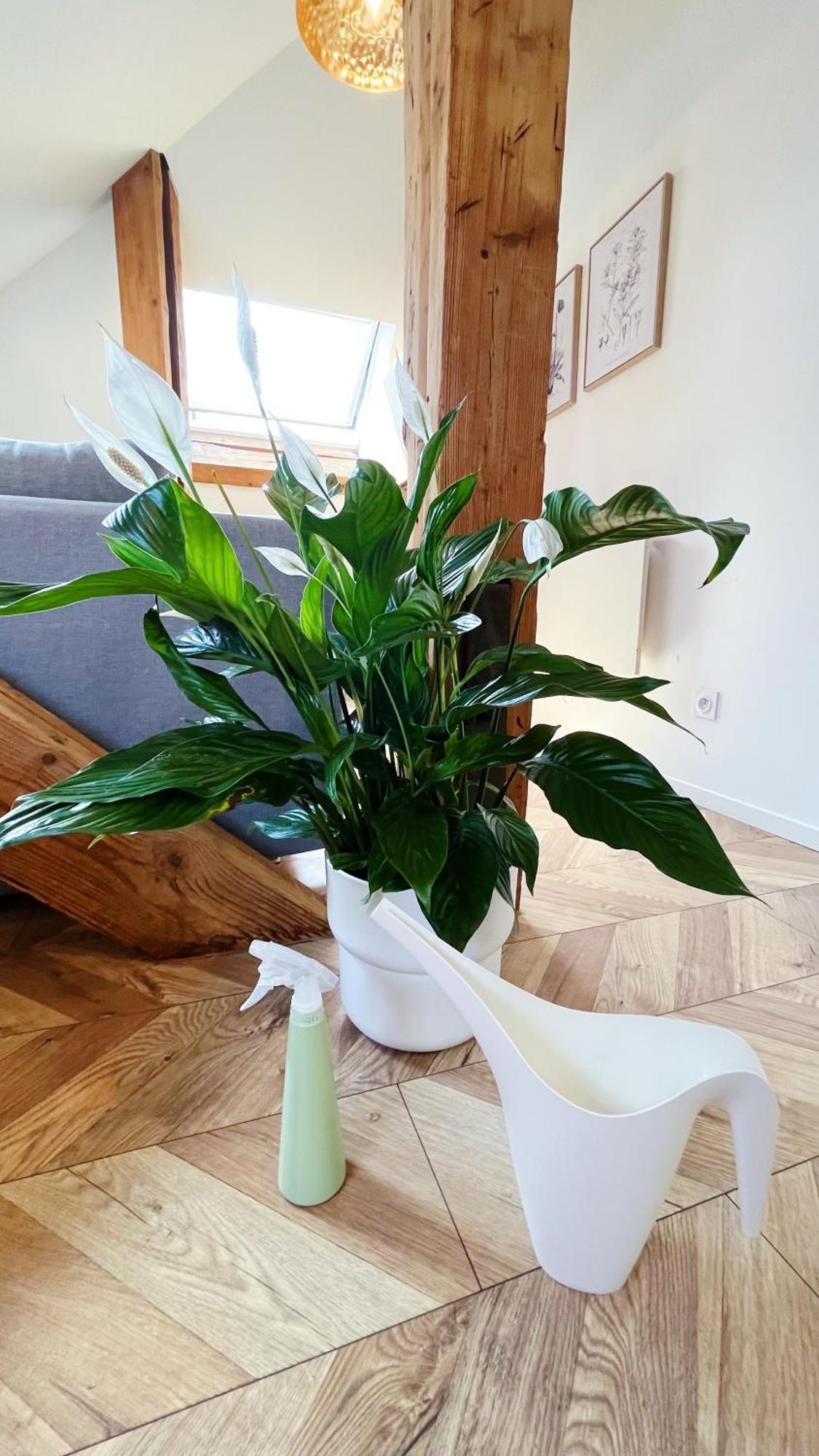 Les Appartements De Romain Et Julien Dijon Dış mekan fotoğraf