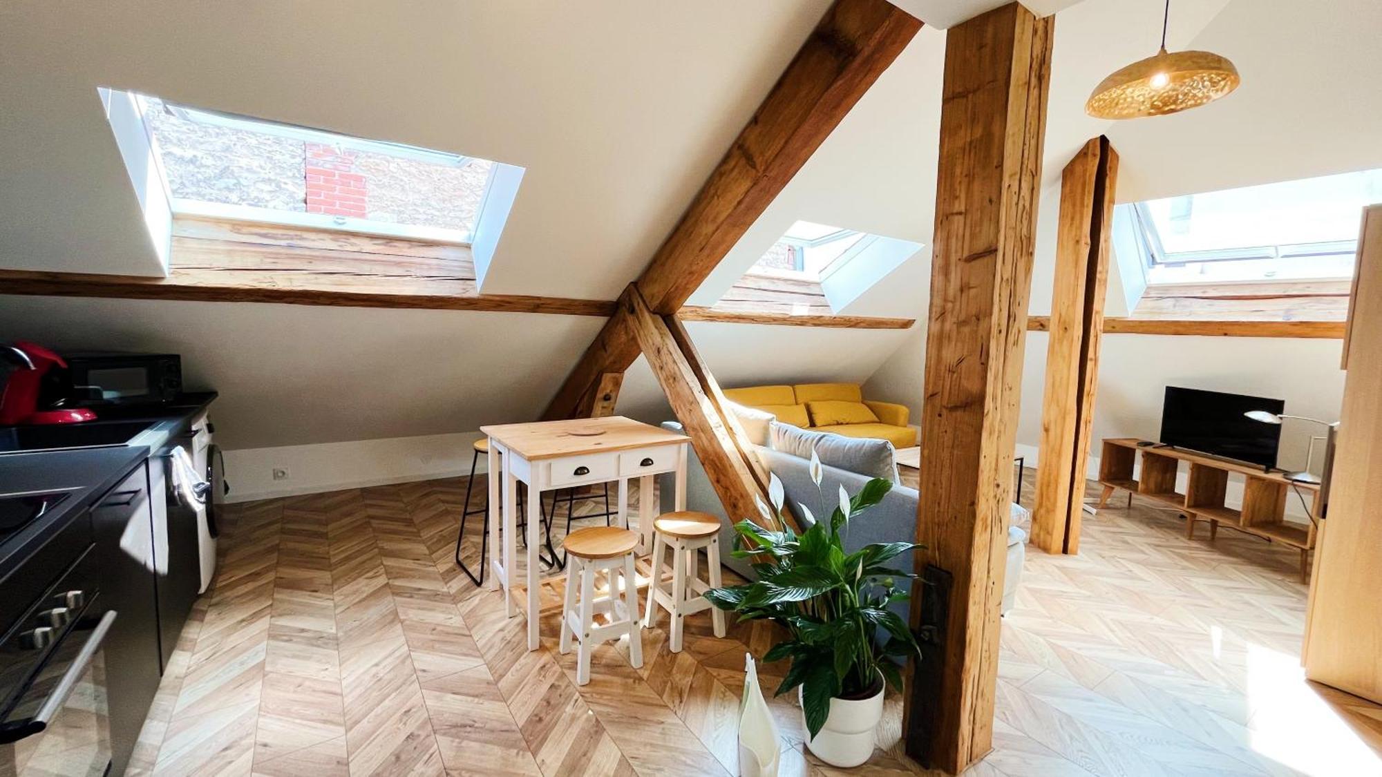 Les Appartements De Romain Et Julien Dijon Dış mekan fotoğraf