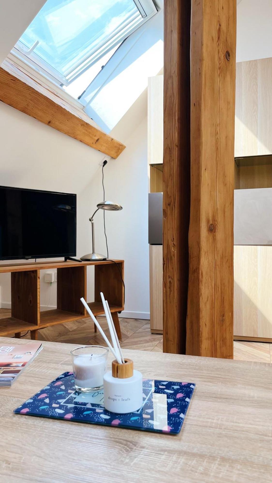Les Appartements De Romain Et Julien Dijon Dış mekan fotoğraf