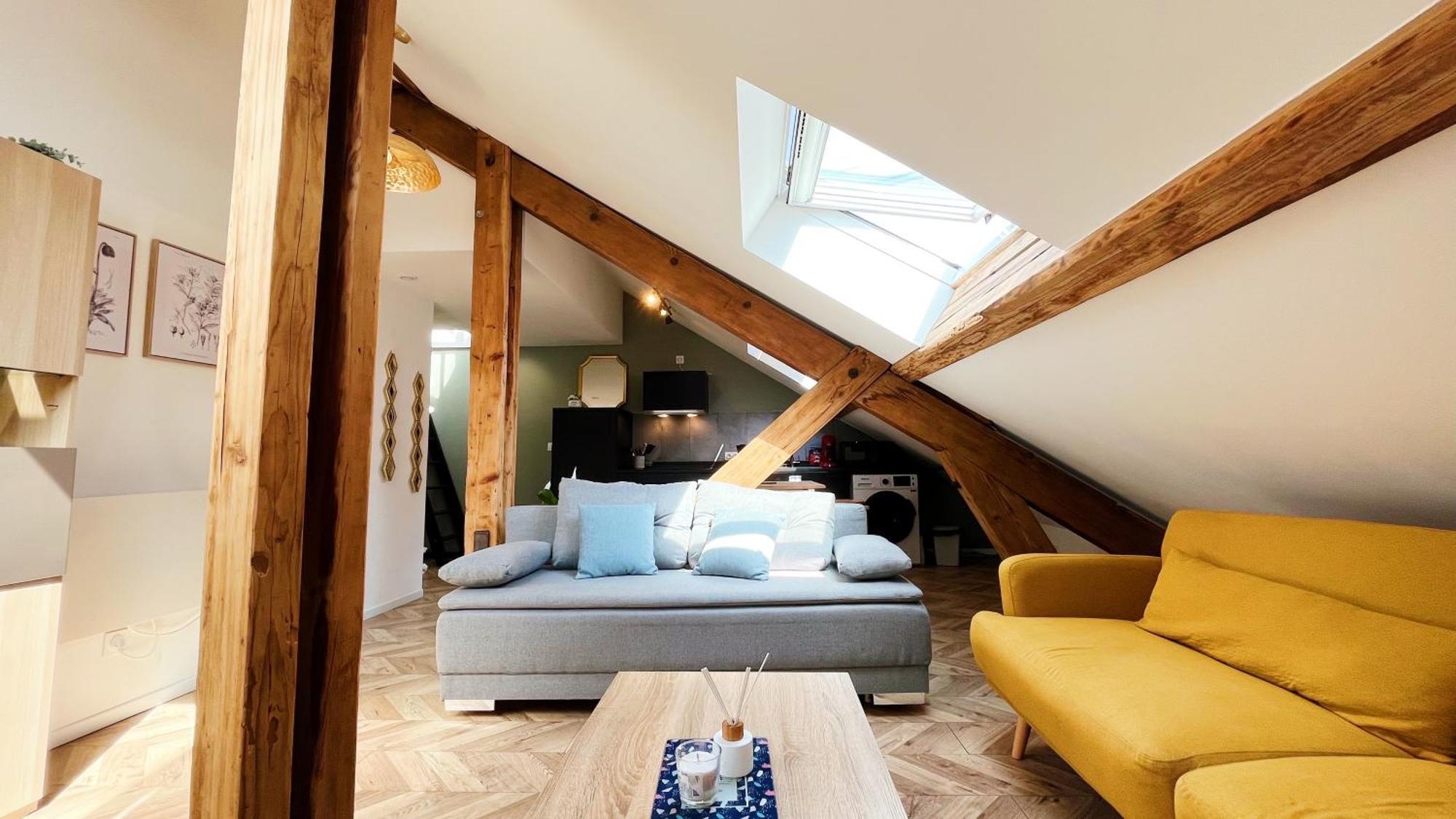 Les Appartements De Romain Et Julien Dijon Dış mekan fotoğraf