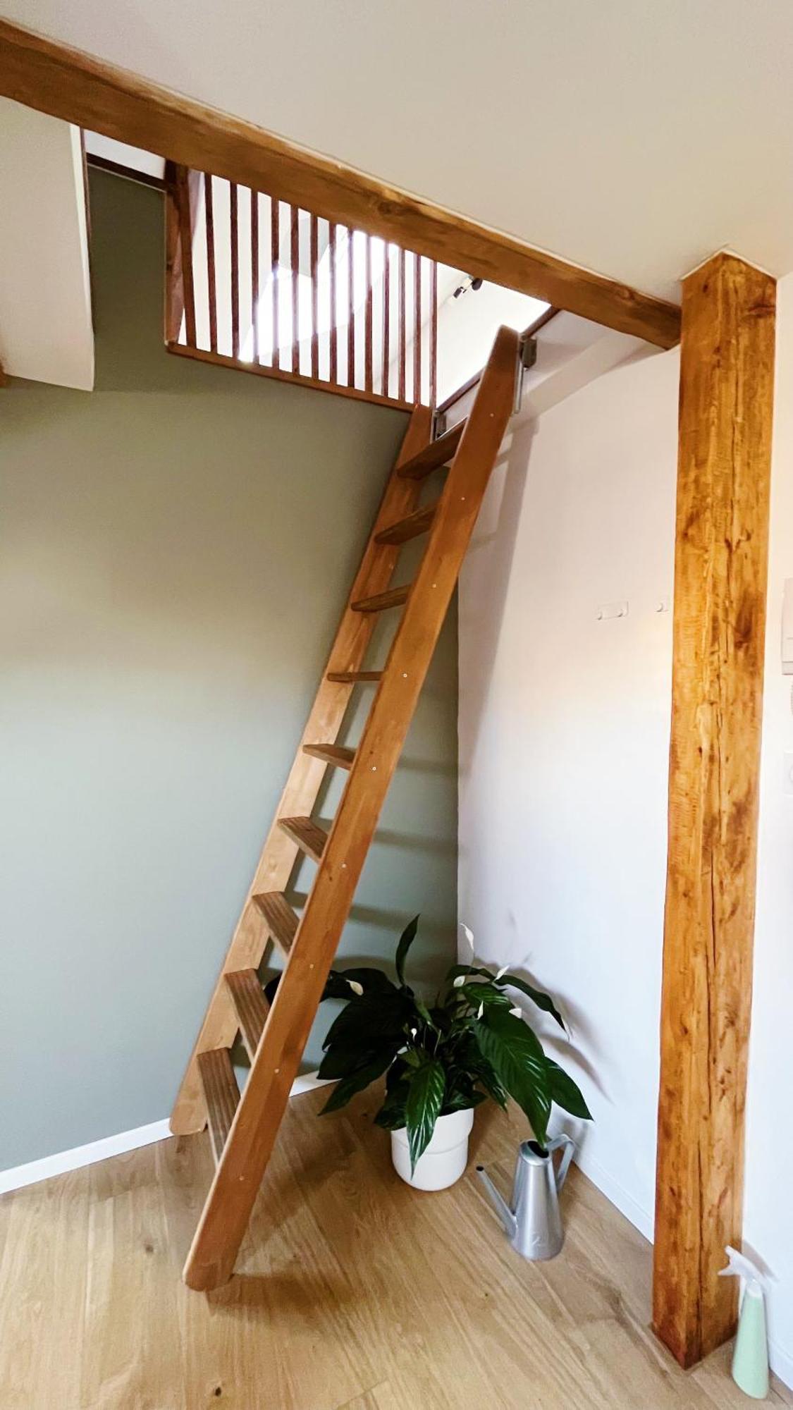 Les Appartements De Romain Et Julien Dijon Dış mekan fotoğraf