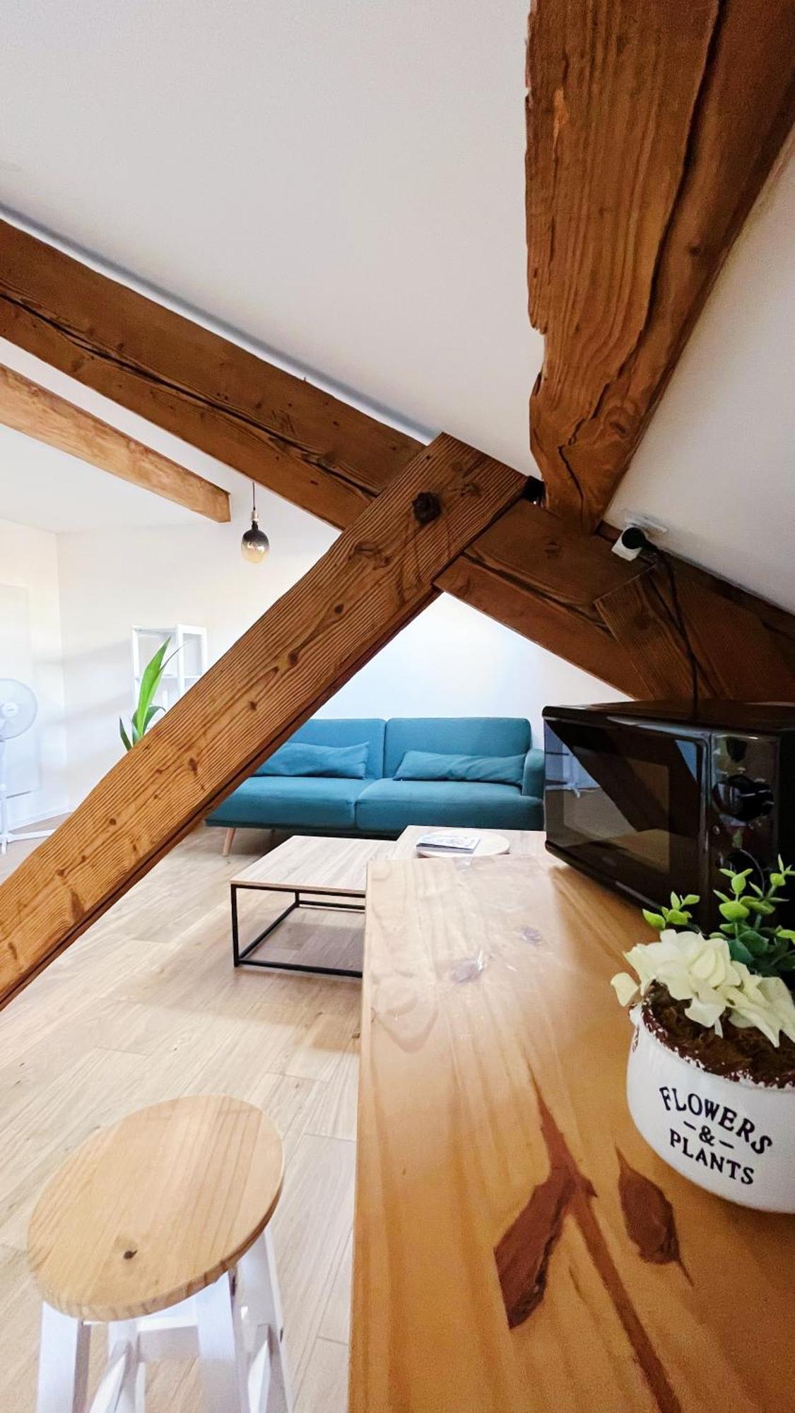 Les Appartements De Romain Et Julien Dijon Dış mekan fotoğraf