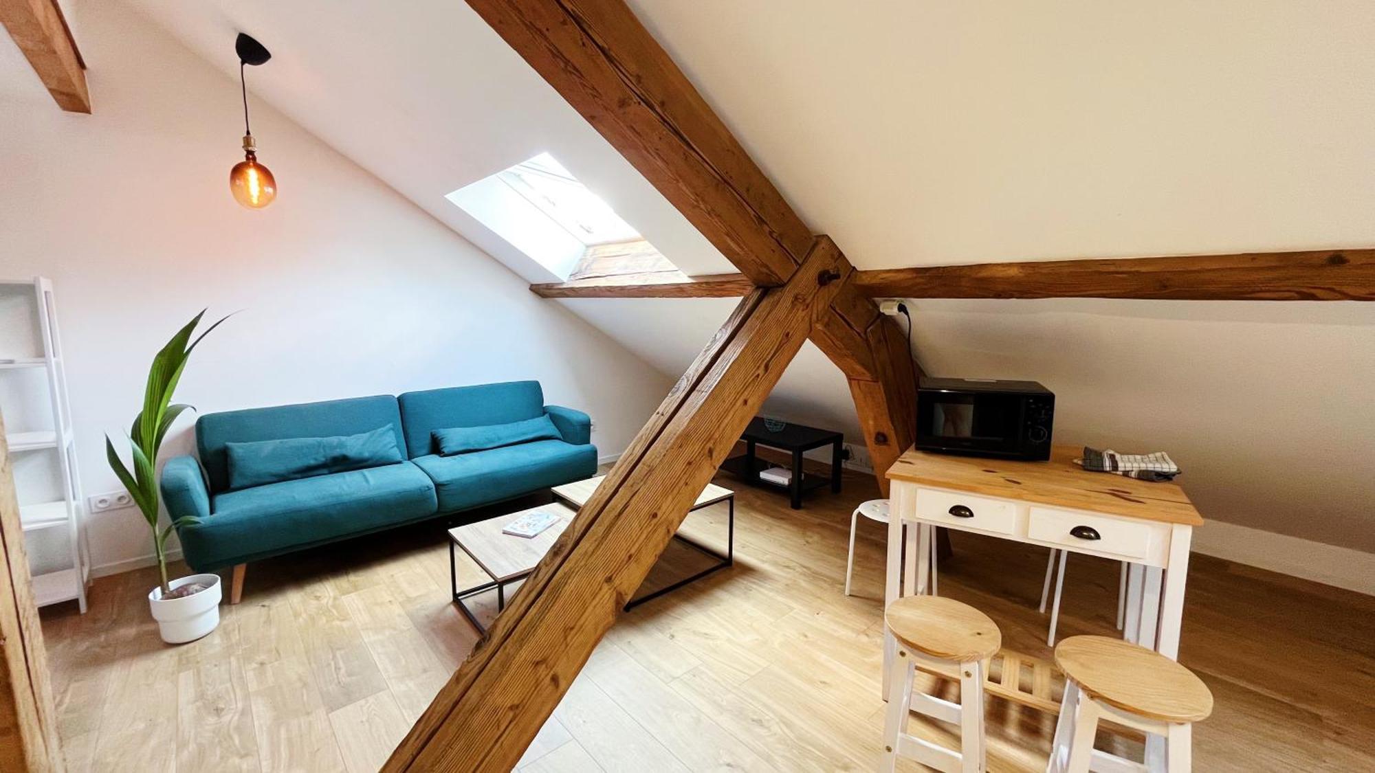 Les Appartements De Romain Et Julien Dijon Dış mekan fotoğraf