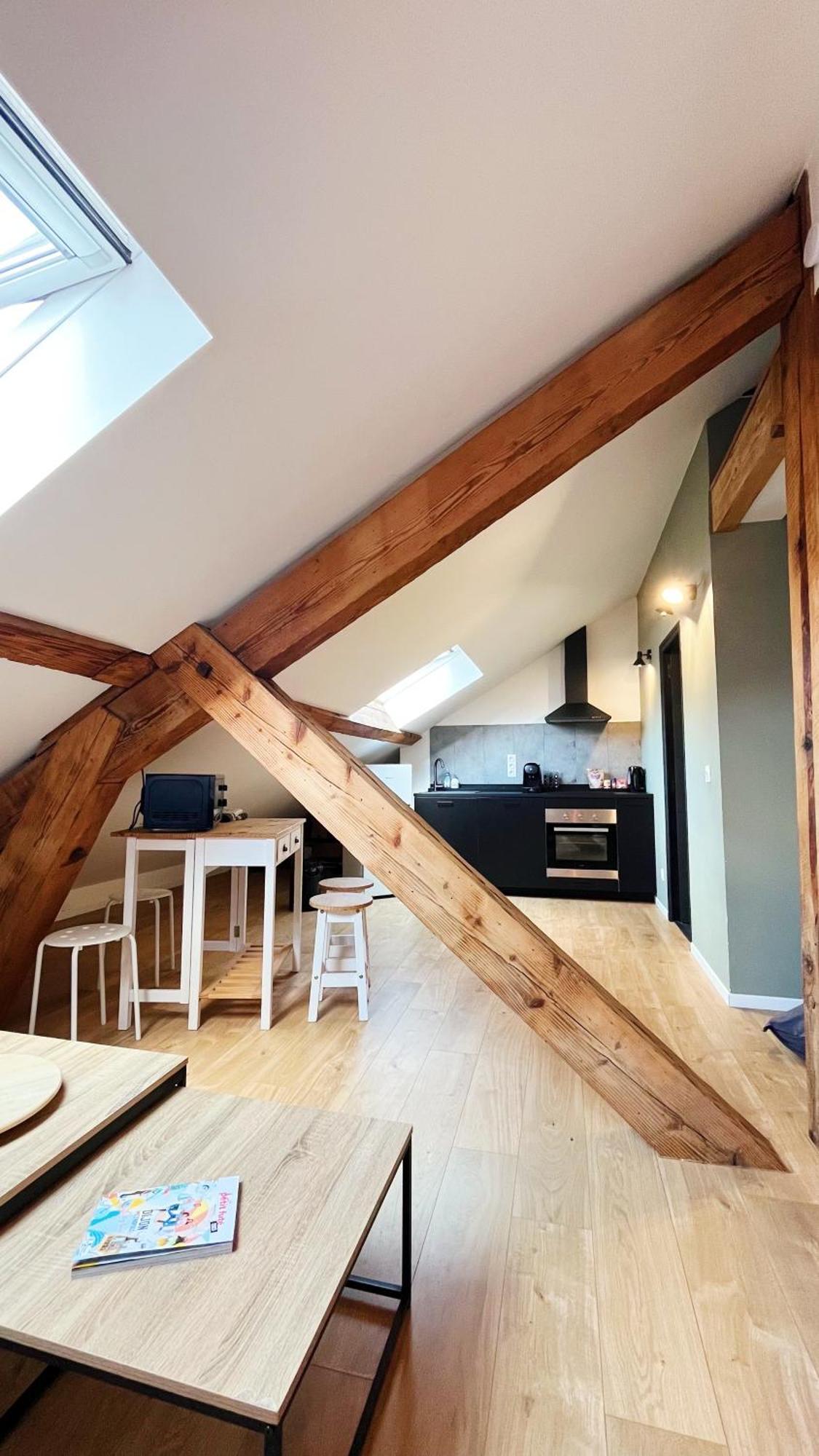 Les Appartements De Romain Et Julien Dijon Dış mekan fotoğraf