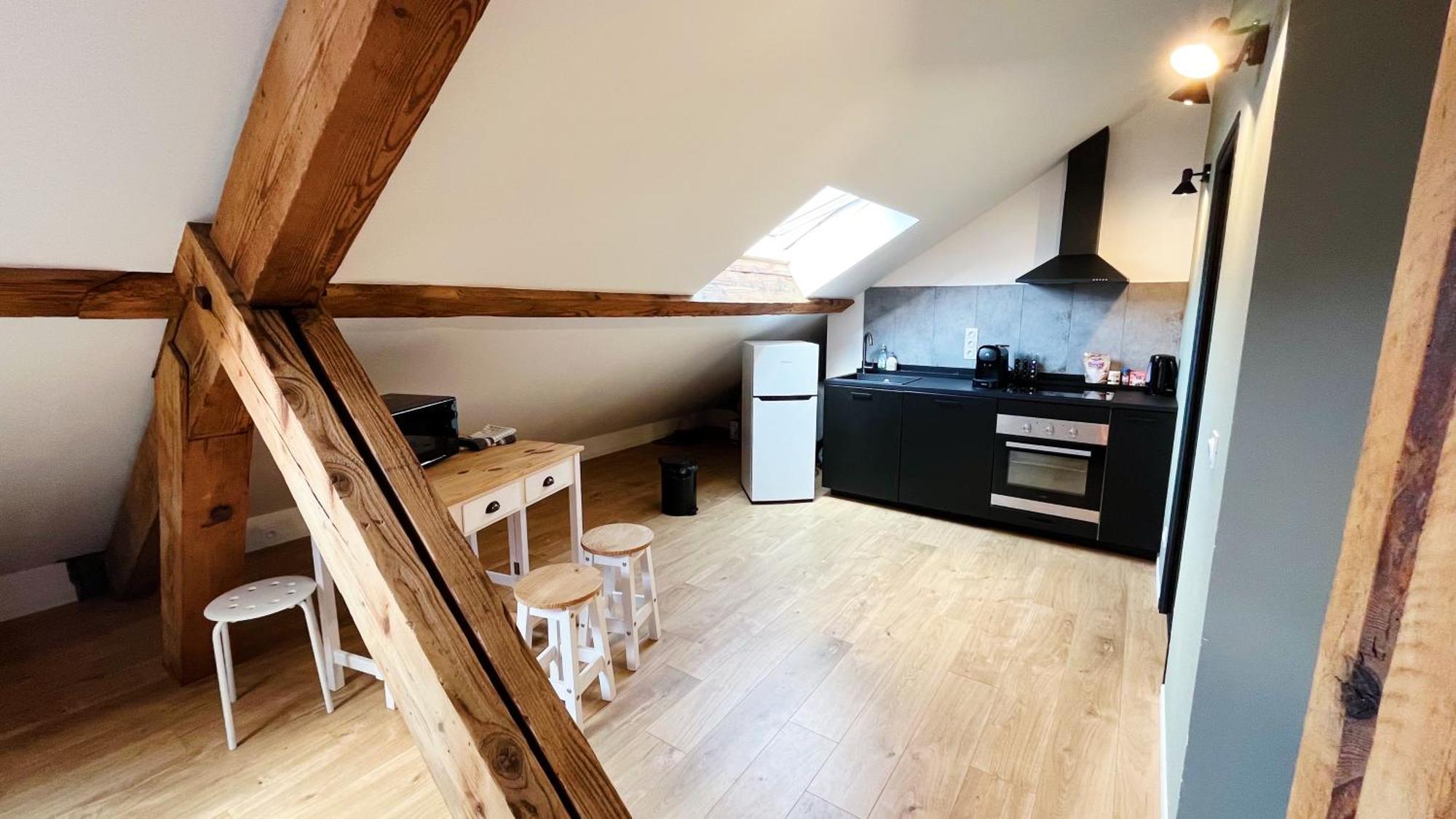 Les Appartements De Romain Et Julien Dijon Dış mekan fotoğraf
